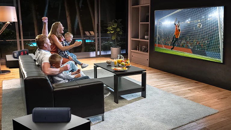 تلویزیون ال جی مدل LG OLED A1 55'' 4K Smart TV